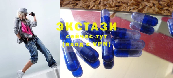 скорость Каменка