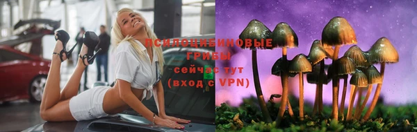 не бодяженный Зеленодольск