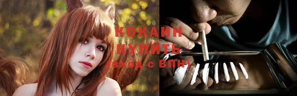 тгк Инта