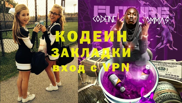 apvp Каменногорск