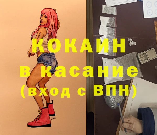 скорость Каменка