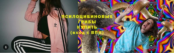 скорость Каменка