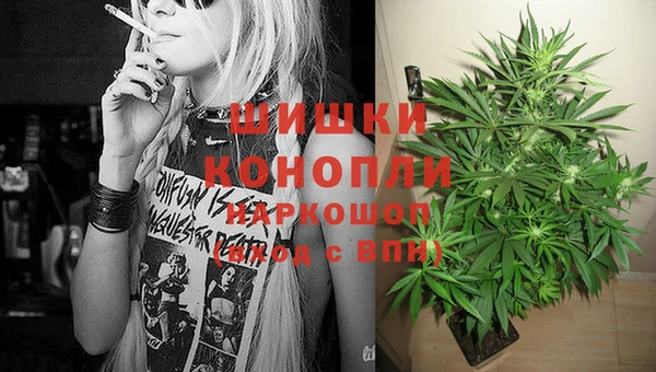 apvp Каменногорск